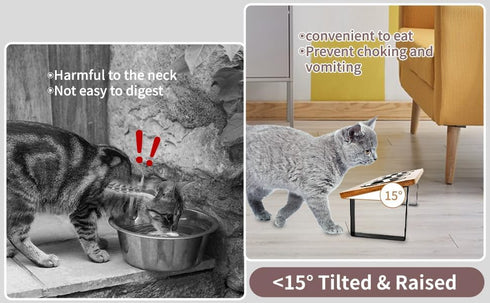 Elevated Cat Bowls, 15° Tilted Stainless Steel Cat Bowls for Indoor Cats, Anti Vomit Bamboo Stand with 3 Feeder Bowls