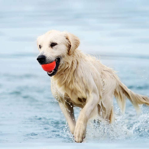 GaesQae Hard Rubber Balls for Dogs, Indestructible Bouncy Ball for Dog Training
