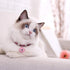 Adjustable Nylon Cat Collar with Bell, Safety Collar for Cats (Pink)