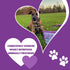 Treats Dog Baby Bullys, Natural Gluten and Grain Free Low Calorie 5 Inch Beef Chews for Small Breeds, Perfect