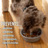 Leashboss Dog Bowl Slow Feeder, Maze Food Bowl Compatible with Raised Pet Feeders, 1.5 Cup, Blue