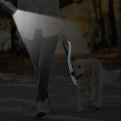 Short Dog Leash, Traffic Padded Handle for Large Breed Dogs, Reflective Training Lead, 24 Inch, Black