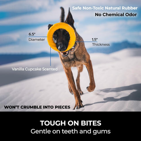 Chew Ring & Fetch Ball Combo for Aggressive Chewers | Heavy-Duty, Ultra-Durable Natural Rubber Toys for Medium to Large