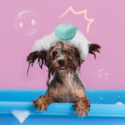 2-in-1 HamInWay Dog Bath Brush, Dog Grooming Brush with Built-in Shampoo Dispenser, Gentle Silicone Bristles for Bath