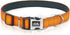 TwoEar Heavy Duty Dog Collar, Soft Neoprene Padded Breathable Nylon, Adjustable Reflective for Small Dogs