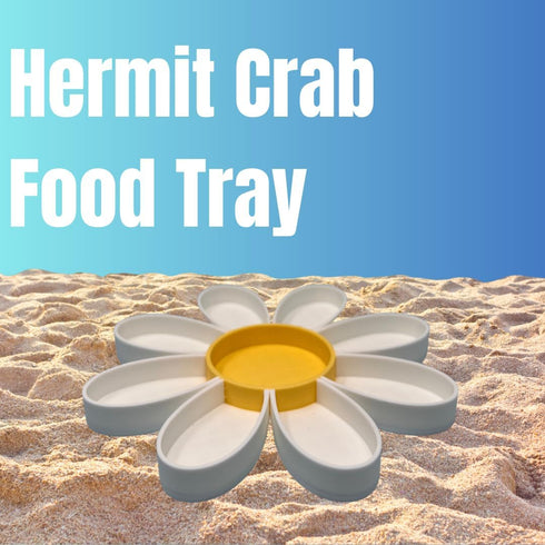 9 Hermit Crab Daisy Food Tray | Dividers Daisy Design | Great Feeder Dish for Crab, Lizard or Frog Terrariums | Made
