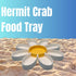 9 Hermit Crab Daisy Food Tray | Dividers Daisy Design | Great Feeder Dish for Crab, Lizard or Frog Terrariums | Made
