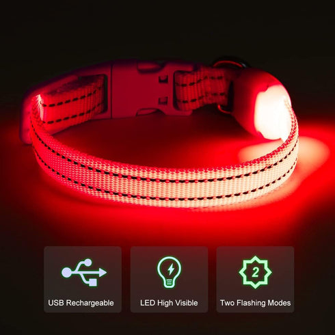 Light Up Dog Collars - Reflective LED Dog Collar, Rechargeable Cat Collar, Glowing Lights for Small Dogs & Cats