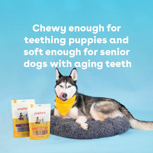 Pupford Chicken Jerky for Dogs & Puppies - All-Natural Healthy Dog Treats, No Fillers, Made in USA (16 oz)