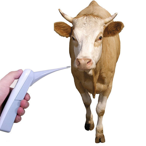 Animal Electronic Thermometer, Fast Rectal Thermometer for Dogs, Cats, Horses, Pigs, Sheep