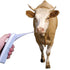 Animal Electronic Thermometer, Fast Rectal Thermometer for Dogs, Cats, Horses, Pigs, Sheep