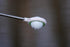 I GOTCHA Compact Golf Ball Retriever by - JAWZ Design
