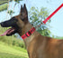 MayPaw 4FT Service Dog Leash, 1" and 1.25" Wide Nylon with Comfortable Neoprene Handle for Medium to Extra-Large Dogs