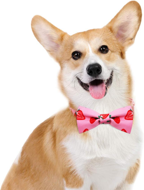 azuza Lovely Pink Dog Collar with Bowtie for Small Dogs