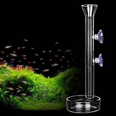 Clear Crystal Glass Shrimp Feeding Tube and Dish Tray for Fish Tank Aquarium Shrimp Feeding