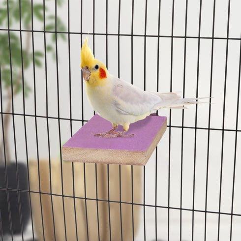 Hypeety Colorful Bird Perch Stand Platform - Natural Wood Paw Grinding Clean Cage Toy for Parrots