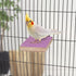 Hypeety Colorful Bird Perch Stand Platform - Natural Wood Paw Grinding Clean Cage Toy for Parrots