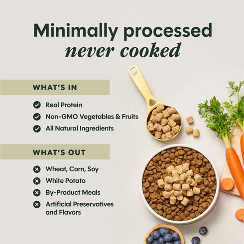 6 oz. Instinct RawBoost Mixers, Freeze Dried Dog Food Topper, Grain-Free Recipe - All Natural Beef, Bag