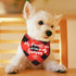My Parents are Getting Me a Human, Plaid Dog Bandana, Pregnancy Announcement Photo Prop for Dog Lovers, Pack of 2