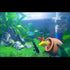 Fish Tank Decorations - Ceramic Pot Cave Aquarium Accessories for Fighting Fish, Shrimp, Cichlids to Play, Breed, Hide,