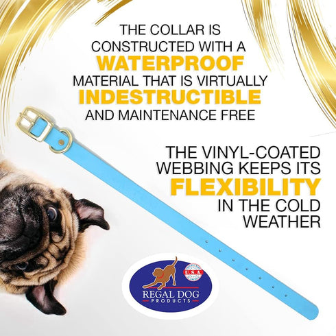 Regal Dog Products Small Light Blue Waterproof Dog Collar with Gold Buckle, Durable and Comfortable Design