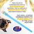Regal Dog Products Small Light Blue Waterproof Dog Collar with Gold Buckle, Durable and Comfortable Design