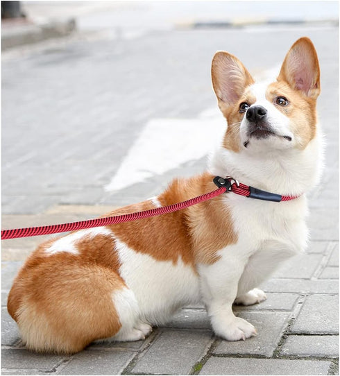 8FT Slip Lead Dog Leash, 1/3” Strong Rope, Adjustable No-Pull Leash for Small and Medium Pets