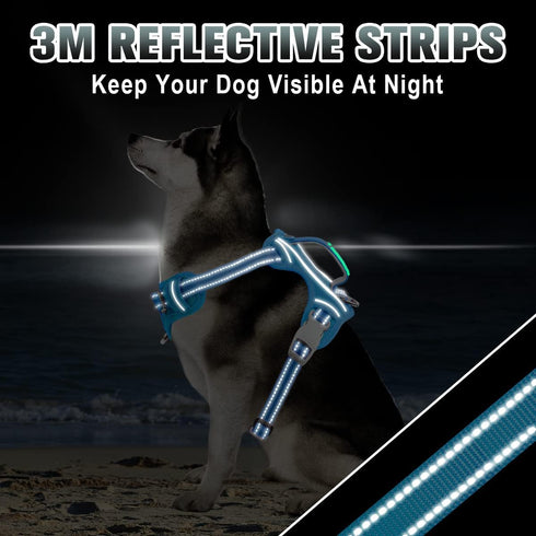 BARKBAY No Pull Dog Harness Large, Reflective with Front Clip and Easy Control Handle (Blue, S)