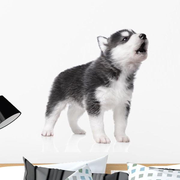 Wallmonkeys Cute Little Husky Puppy Wall Decals, 24" W x 19" H, Peel and Stick, Isolated on White Background