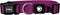 DDOXX Nylon Dog Collar, Strong and Adjustable, M (Purple), Blueberry Pet Dog Collar