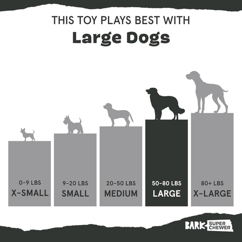 Barkbox Super Chewer Tough Dog Chew Toys, Treat Dispensing for Aggressive Chewers, Carrot - Small