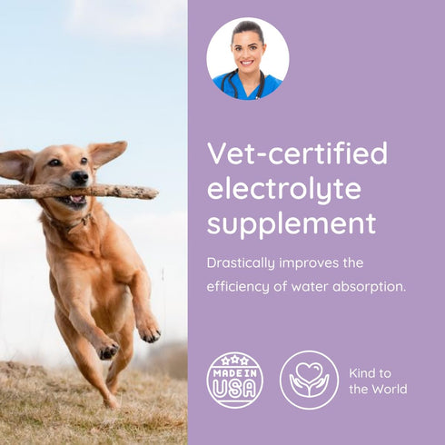 32 Packets Dog Electrolytes and Joint Supplement | Hydration Support for Dogs w/Glucosamine, Chondroitin & More |