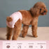 Xloey 10 Stretchy Disposable Diapers - Pcs Leak-Proof Pull-ups for Cats & Female Dogs in Heat, Incontinence & Training
