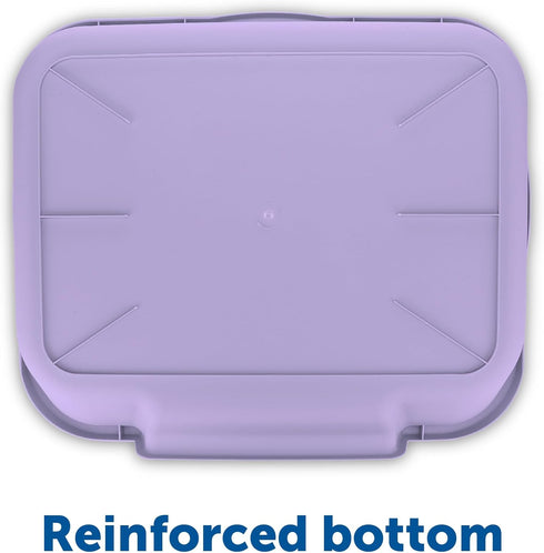 KittyGoHere Senior Cat Litter Box - 1 Pack Large Storybook Lavender Low Entrance, Perfect for Senior Cats