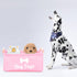 Dog Toy Basket, Storage Bins with Handle, Foldable Square Dog Toy Box for Pet Toys and Blankets