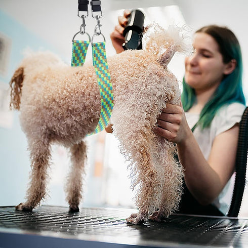 Pet Dog Grooming Arm Accessories - Adjustable Belly Straps with Connector, Nylon Restraint Noose (Color-1, Short)