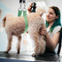 Pet Dog Grooming Arm Accessories - Adjustable Belly Straps with Connector, Nylon Restraint Noose (Color-1, Short)