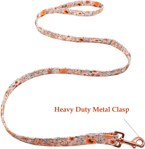 Lionheart glory Strong Dog Leash Floral Durable Dog Leashes with Comfortable Soft Handle for Small Medium and Large Boy Dogs