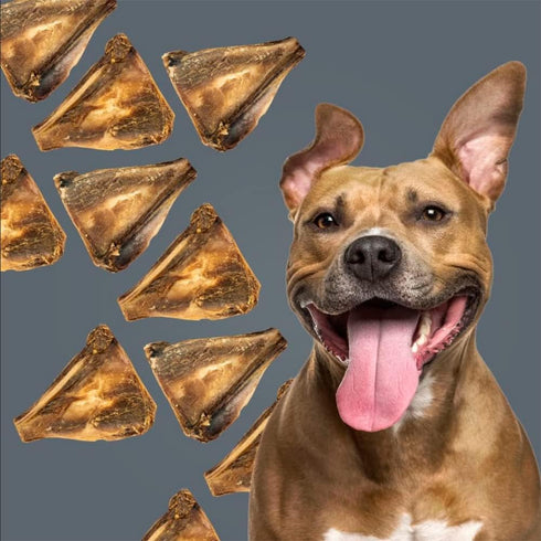 ROAM Pet Treats Bucky Chucky – Grasslands Venison Dog Bone, All Natural, Grain-Free, Gluten-Free, Single Ingredient