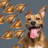 ROAM Pet Treats Bucky Chucky – Grasslands Venison Dog Bone, All Natural, Grain-Free, Gluten-Free, Single Ingredient