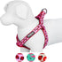 Blueberry Pet Essentials 2 Patterns Step-in Ladybug Designer Dog Harness, Chest Girth 16.5" - 21.5", Small
