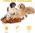 Dog Squeak Toys, No Stuffing Plush Dogs Chew Toy Bundle for Small Medium Large Breed Chewer Tough Durable Squeaky Pet