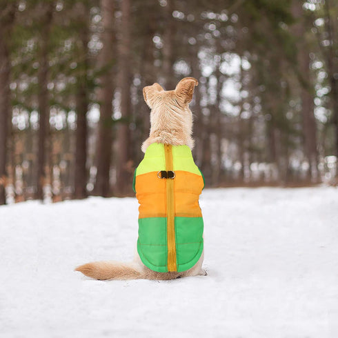 Idepet Pet Dog Cat Coat with Leash Anchor, Color Patchwork Padded Vest Jacket, XS S M L, Green