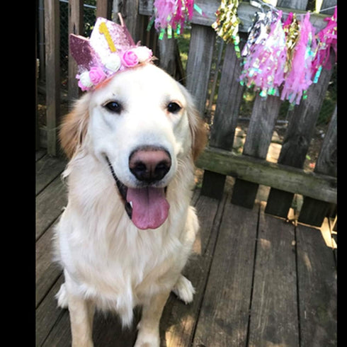 Pet Crown - Reusable Birthday Party Crown for Dog & Cat, Pink with 0-9 Figures Charms