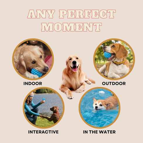 Generic Set 2025 Complete Interactive for Dogs Durable Sound Ball for Play and High - Frequency Calming Whistle