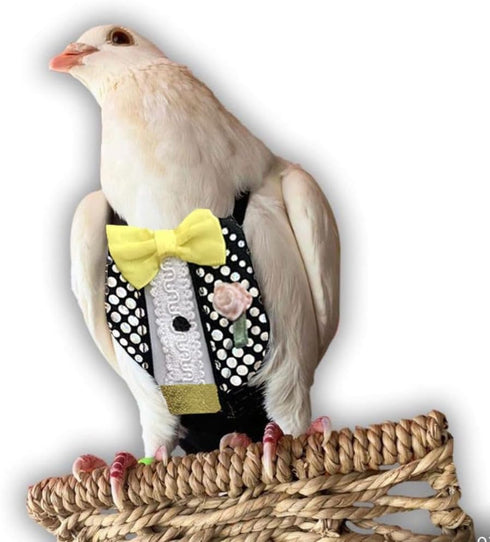 Bev's Bird Boutique Regular Flyper Adjustable Bird Diaper | Reusable, Washable Cloth