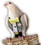 Bev's Bird Boutique Regular Flyper Adjustable Bird Diaper | Reusable, Washable Cloth