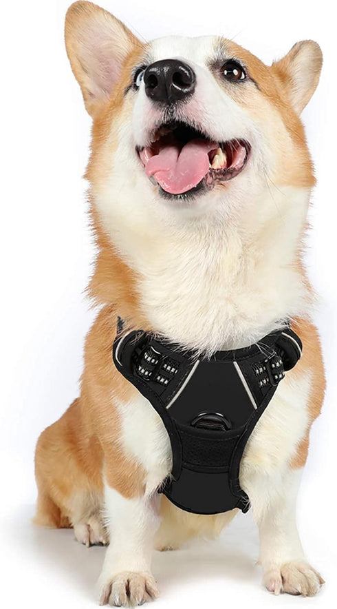 rabbitgoo Dog Harness, No-Pull Pet Harness with 2 Leash Clips, Adjustable Soft Padded Vest, Reflective No-Choke Oxford