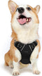rabbitgoo Dog Harness, No-Pull Pet Harness with 2 Leash Clips, Adjustable Soft Padded Vest, Reflective No-Choke Oxford