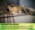 Zenpaws No Scent Diffuser Cat Relaxant Refill - Compatible with Major Brand Diffusers like Feliway & Comfort Zone